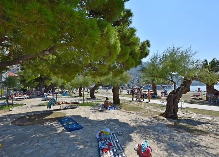 Mandic * Omis